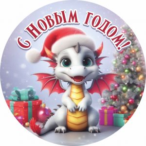 VK12-478_2024-НГ-5