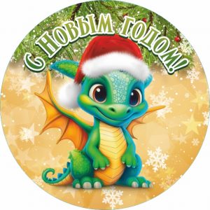 VK12-478_2024-НГ-6