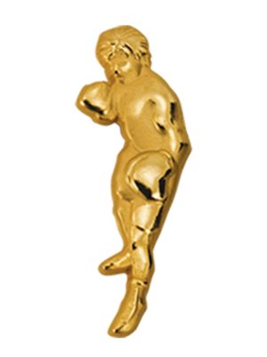 DC#Знак_бокс