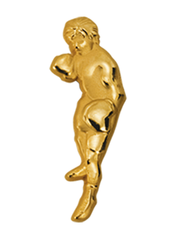 DC#Знак_бокс