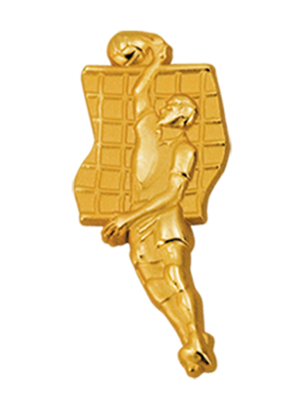 DC#Знак_волейбол